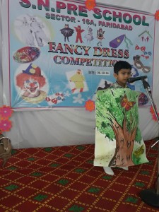 Fancy Dress Competition held in Sant Nirankari Pre School on 6 october 2016 (2)